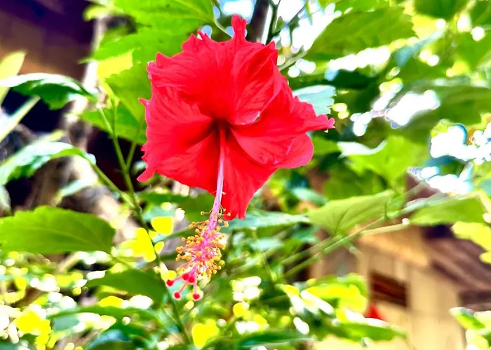ホステル Bali Telaga Hati Yoga Healing And Retreat Center サヌール