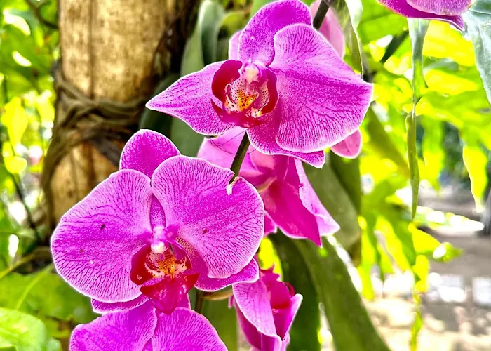 ホステル Bali Telaga Hati Yoga Healing And Retreat Center サヌール